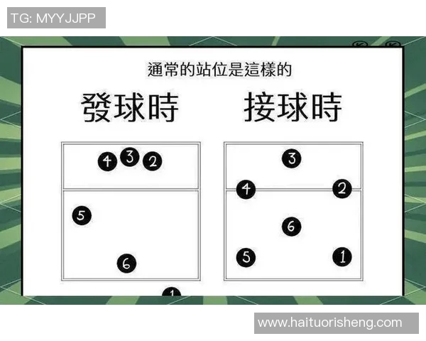排球盛宴:深入解析广州排球队的默契配合与战术策略 排球盛宴:深入解析广州排球队的默契配合与战术策略