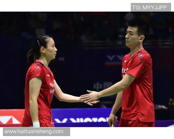 杭州羽毛球队与南京羽毛球队赛后复盘分析比赛经验与战术策略