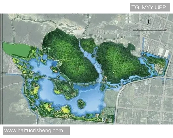 杭州乒乓球队全面革新策略带来的整体压制效应分析与展望